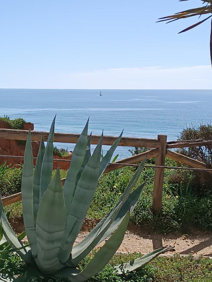 Mar A Vista Algarve Summer Portimao Exterior photo